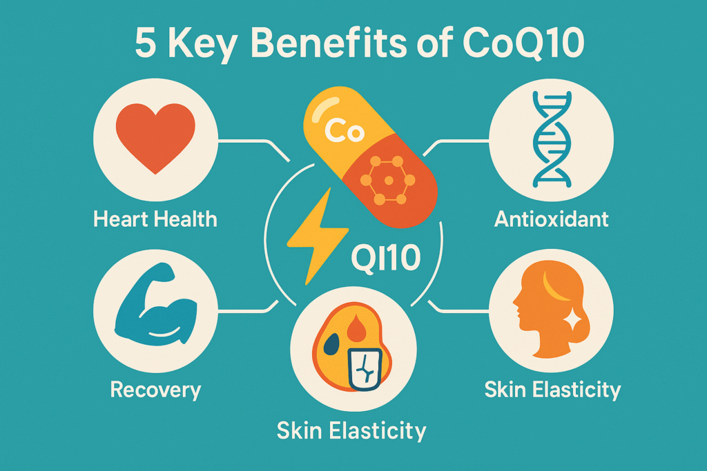 5 Key Benefits of CoQ10 – Heart, Skin, and Energy Illustration showing 5 key benefits of CoQ10: heart health, antioxidant, recovery, skin elasticity, and energy