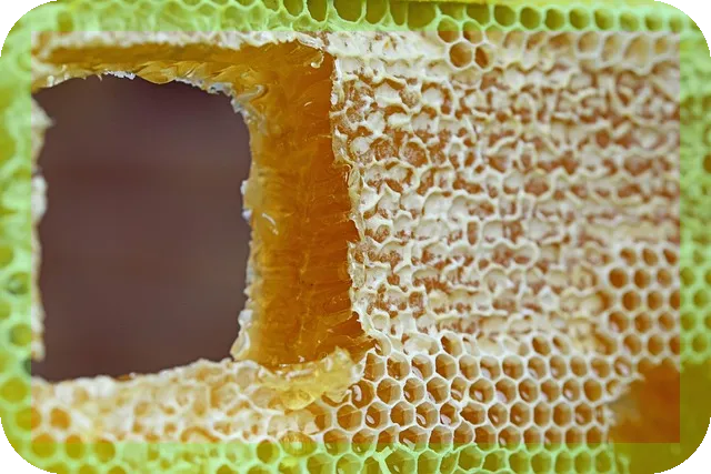 NK세포 활성화와 면역증진 방법은?