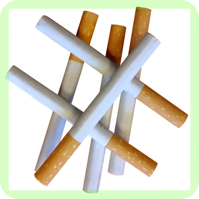 가벼운 조깅의 효과와 운동가이드 알아보기