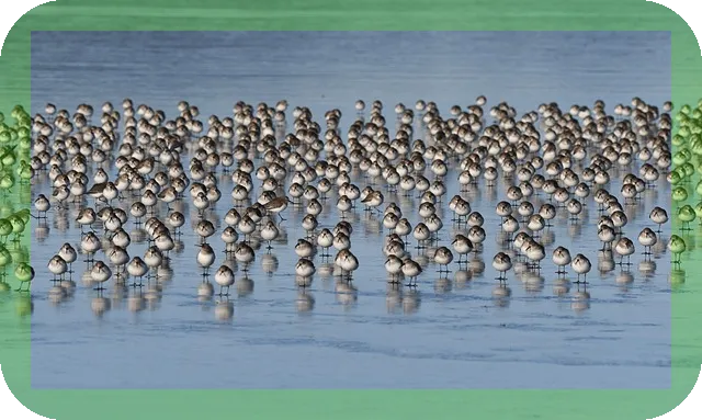 갑상선암 고주파치료술 가이드, 꼭 알아야 할 사항은?
