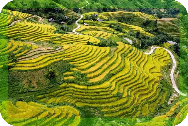 관악산 등산 코스추천으로 완벽 가이드!