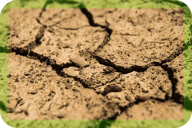 구강건조증 완화방법과 치료방법은?