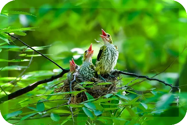 구강건조증 완화방법과 치료방법은?