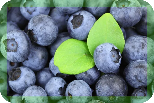 기억력유지에 도움되는 음식조리법, 어떤 음식이 좋을까