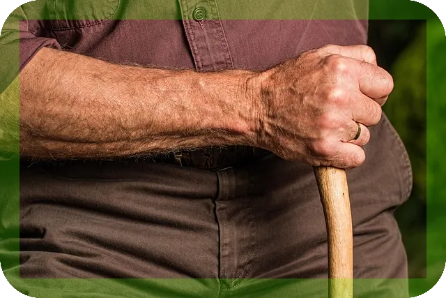 노령연금 타는 시기와 절차 총정리