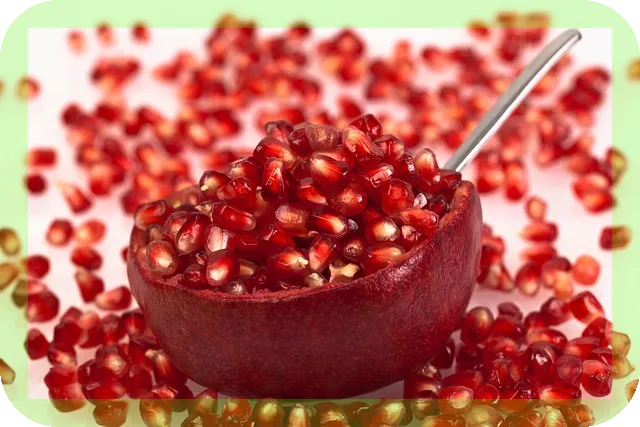 노인을 위한 영양제 선택법과 효능은