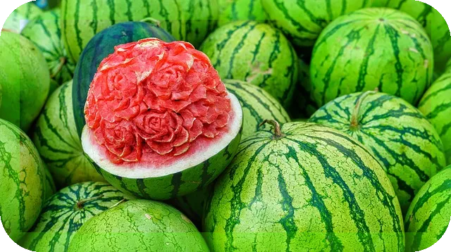 노인을 위한 영양제 선택법과 효능은