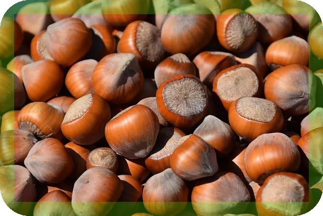 노인을 위한 영양제 선택법과 효능은