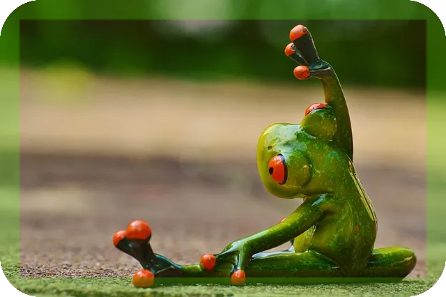 어르신 크로스핏 효과 어떻게 만날까