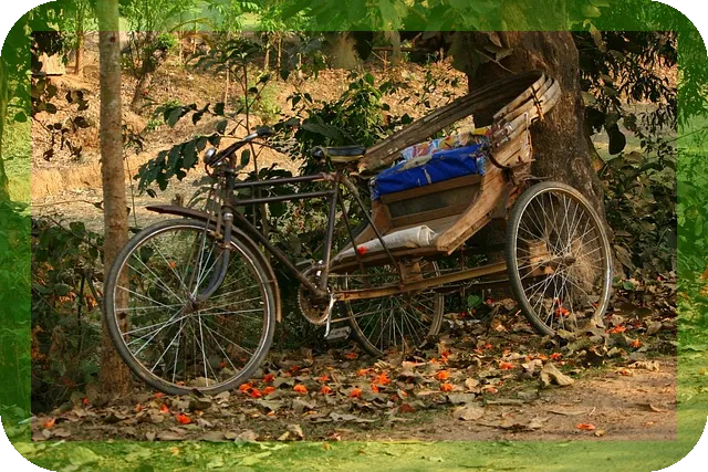 어르신 크로스핏 효과 어떻게 만날까