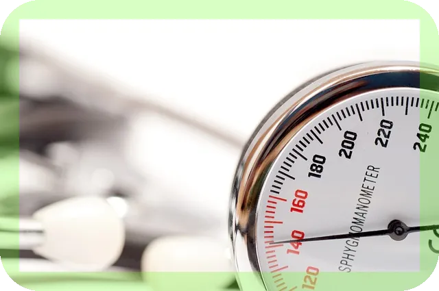 효율적인 단백질 섭취식품 제대로 알기