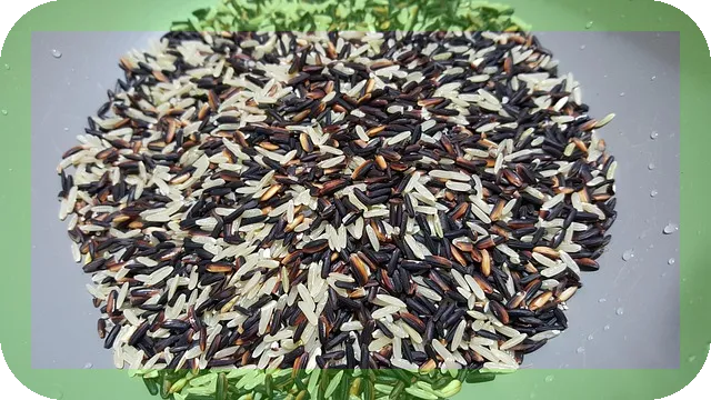 효율적인 단백질 섭취식품 제대로 알기