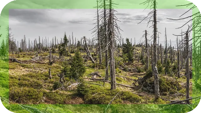 효율적인 단백질 섭취식품 제대로 알기