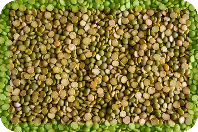 효율적인 단백질 섭취식품 제대로 알기