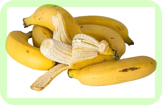 대장건강에 좋은 영양소와 음식 꼭 알고 계신가요