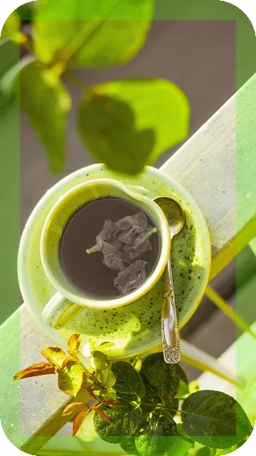 돼지감자를 차로 우려먹을때 효능은? 놀라운 10가지 체험!