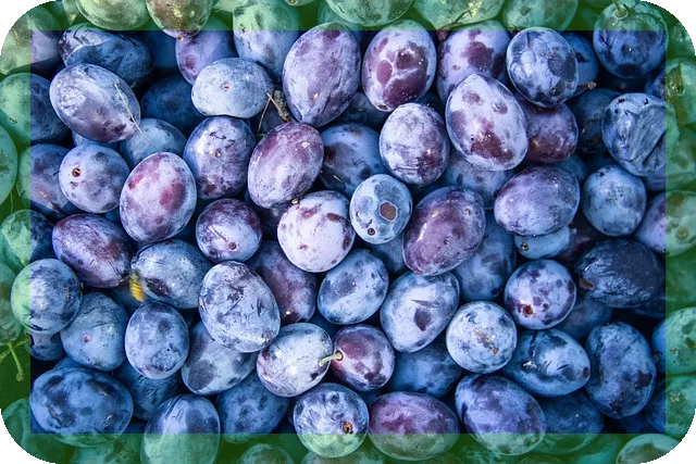 땅콩버터가 주는 건강효과와 효능, 당신은 알고 있나요?