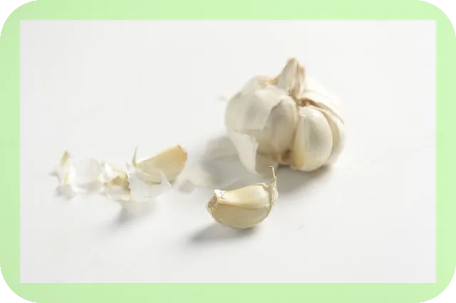마늘영양제 비교 및 추천, 무엇이 다를까