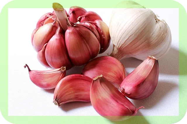 마늘영양제 비교 및 추천, 무엇이 다를까