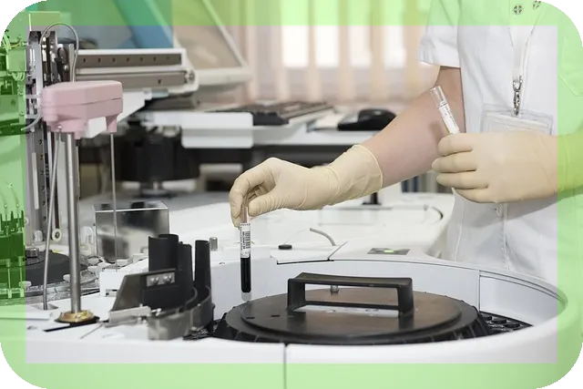 면역세포와 면역력 키우는법을 아시나요