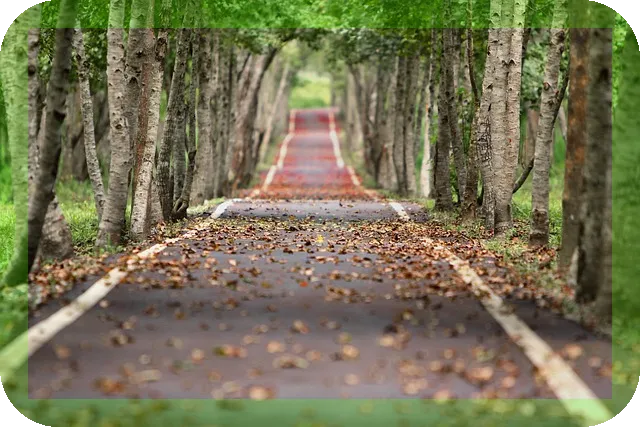 무릎부딪히고 통증올때 대처법, 당신은 알고 있나요
