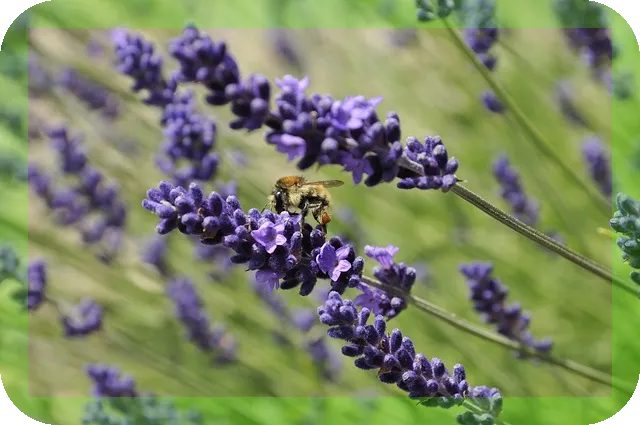 보험금수령시 세금 총정리와 절세 방법