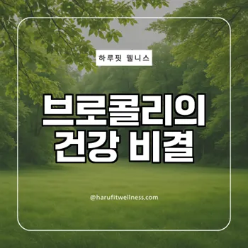 브로콜리 효능과 섭취법 당신이 몰랐던 건강 비결