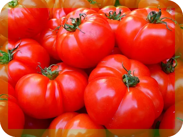 비타민D 섭취법 최적화로 건강 챙기기