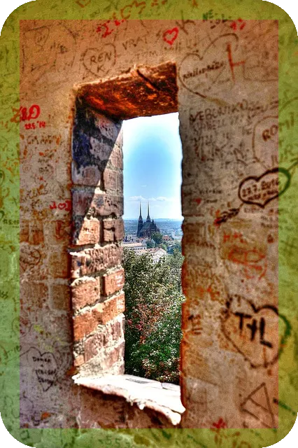 비타민D 섭취법 최적화로 건강 챙기기