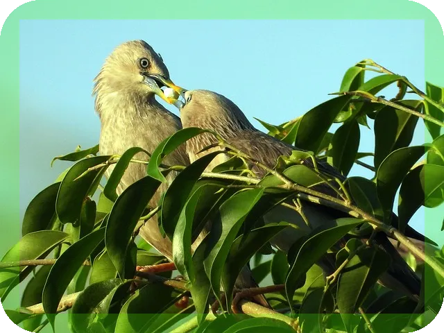 아연을 보충할수 있는 식품, 어떤 것이 있을까?