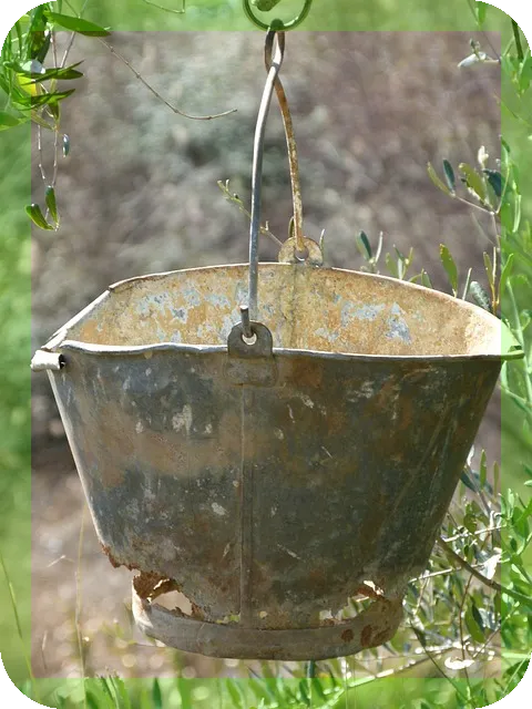 아연을 보충할수 있는 식품, 어떤 것이 있을까?