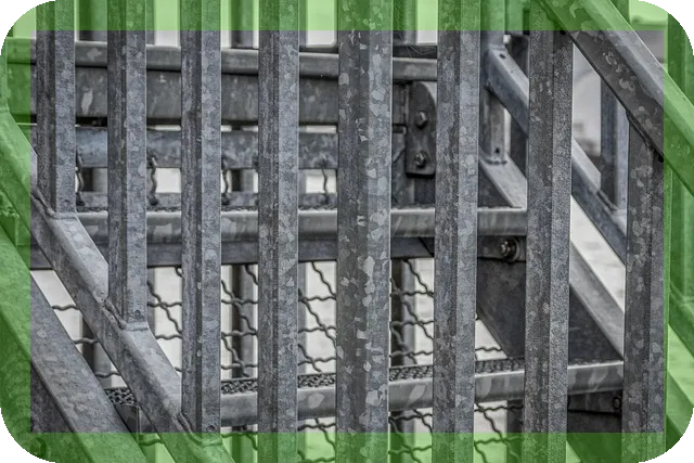 아연을 보충할수 있는 식품, 어떤 것이 있을까?