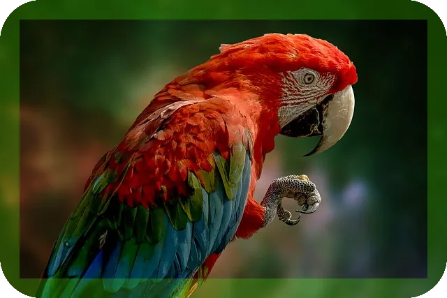 어르신 발톱관리 및 케어 방법, 어떻게 할까