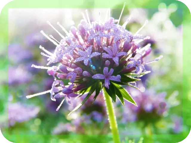 염색약이 탈모에 주는 영향과 해법은?