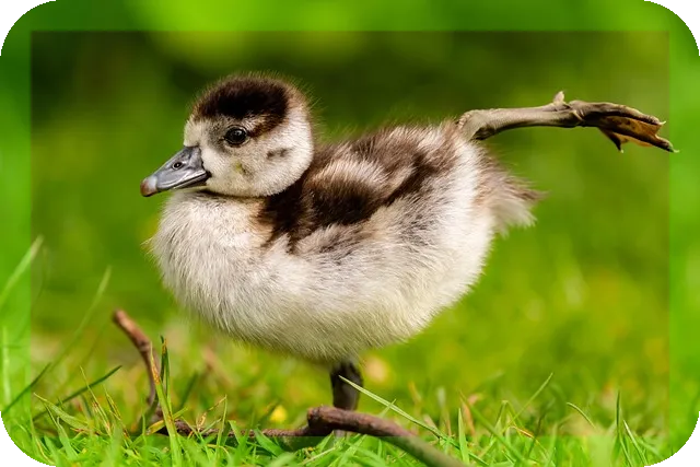 오십견 통증완화와 치료방법, 당신은 알고 있나요