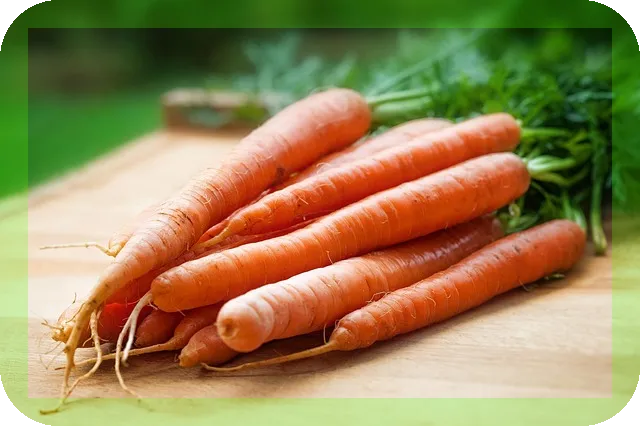 지중해식단 간단한 3가지 요리로 집들이 완벽 준비