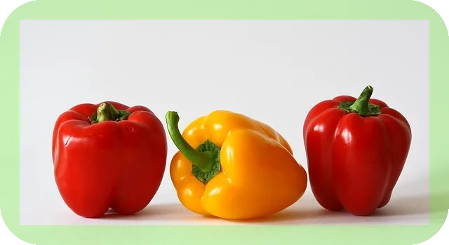 초록파프리카 vs 노란파프리카 차이? 당신의 선택은