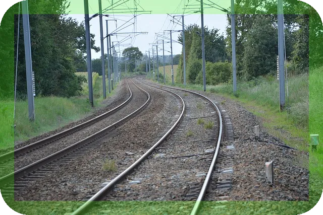 크루즈여행 어디로 떠날까? 2025 최고의 추천지