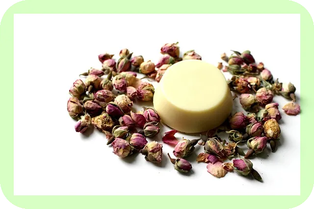 페퍼민트 오일의 효능과 활용법은