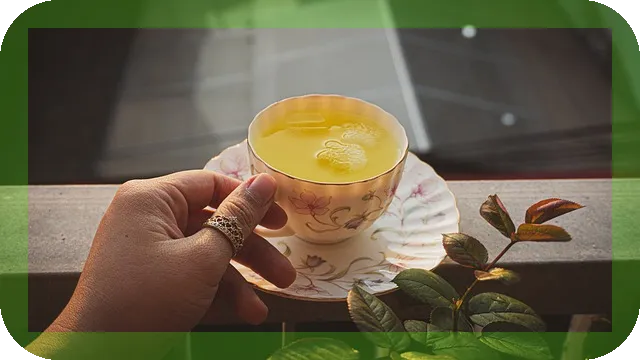 페퍼민트차 효능과 마시는 법 안내