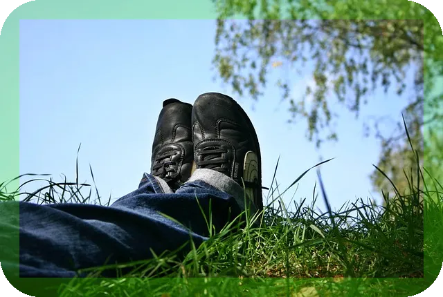 페퍼민트차 효능과 마시는 법 안내