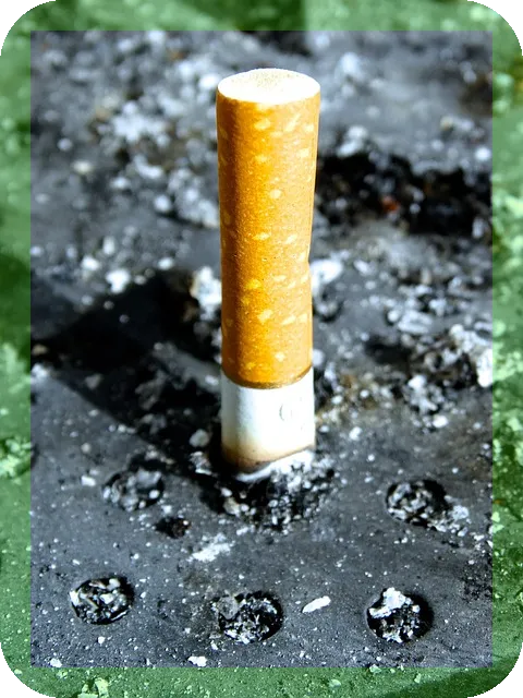 페퍼민트차 효능과 마시는 법 안내