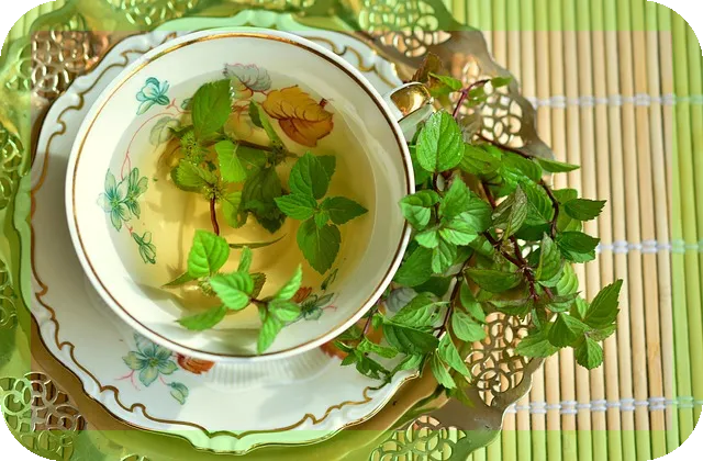 페퍼민트차 효능과 마시는 법 안내