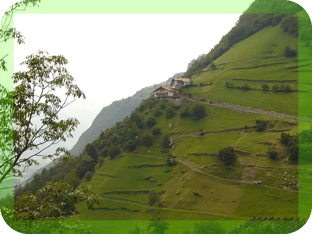 허리가 아플때 병원vs한의원 어떤 선택이 최선일까