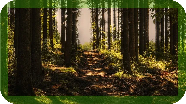 혈압약 부작용과 몸에 미치는 영향, 궁금하지 않나요