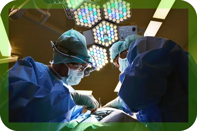 흰머리 효과적으로 관리하는 방법 및 가리는 방법은?