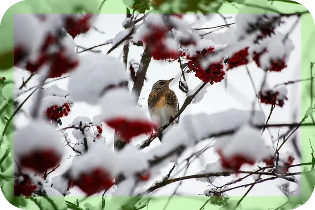 겨울철 조심해야 하는 질환 5가지 알아보기