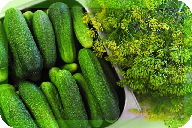 겨울철 건강을 위한 체온관리 팁, 어떤 음식으로 혈액순환과 면역력을 높일까