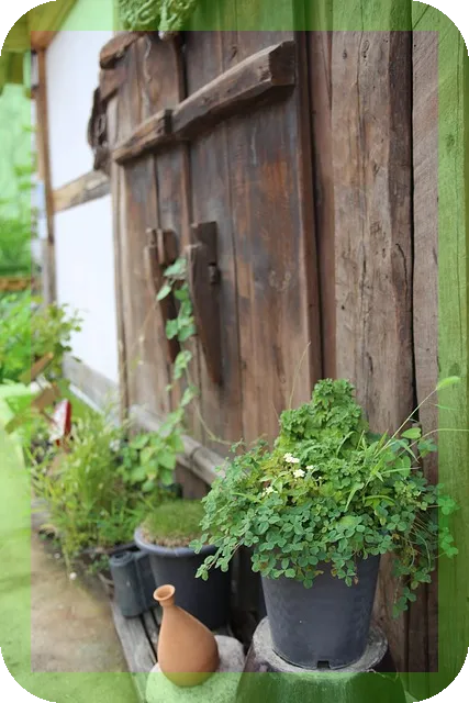 곱창,막창,대창을 먹으면 우리몸에서 일어나는 일