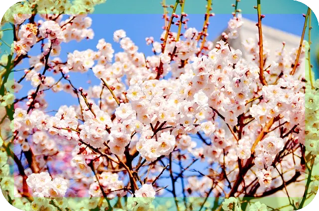 과일 야채 깨끗하게 씻는 여러가지방법으로 세균 걱정 없애기